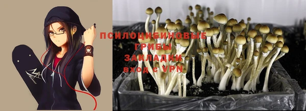 экстази Михайлов