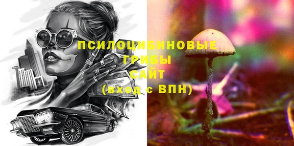 2c-b Михайловка