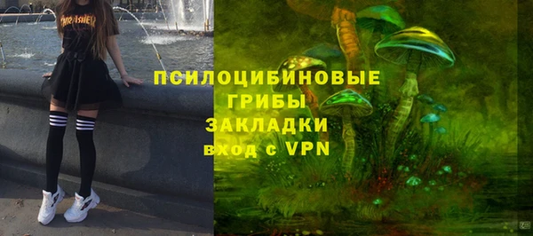 экстази Михайлов