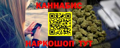 гидра Славгород
