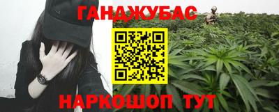 гидра Славгород