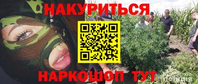 гидра Славгород