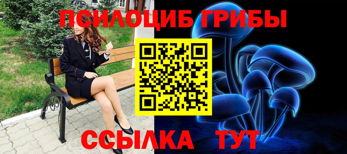 Псилоцибиновые грибы Cubensis  Вход с VPN  Черногорск 